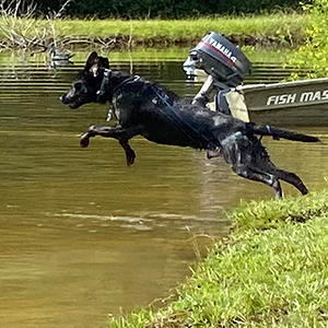 Basic Retriever Training